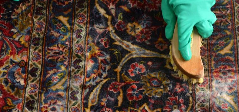 Pet Stain Removal Persian Rugs UK