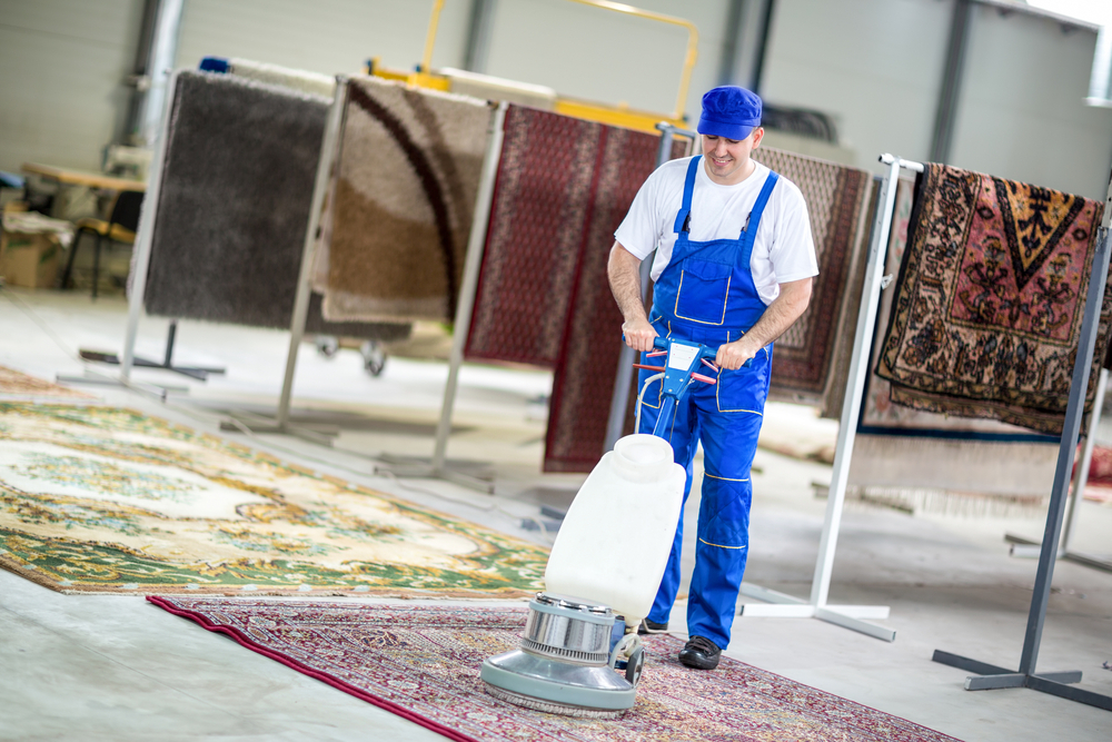 Primary tools for rugs cleaning