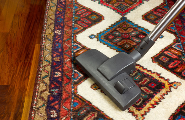Persian Oriental Rugs Treatment Homecare